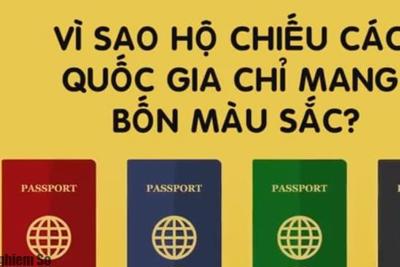 [Video] Vì sao hộ chiếu các quốc gia trên thế giới chỉ mang 4 màu sắc?