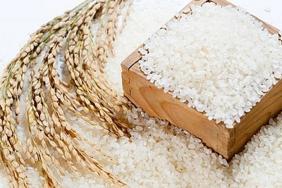 Giá lúa tiếp tục tăng 100 đồng