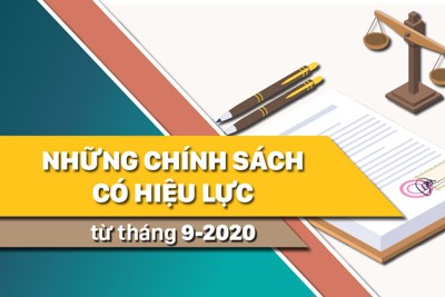 [Infographics] Những chính sách có hiệu lực từ tháng 9/2020 