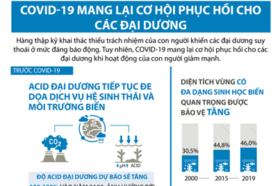 [Infographics] Covid-19 mang lại cơ hội phục hồi cho các đại dương