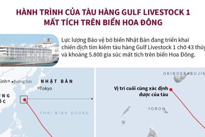 [Infographics] Hành trình của tàu hàng Gulf Livestock 1 mất tích trên biển Hoa Đông