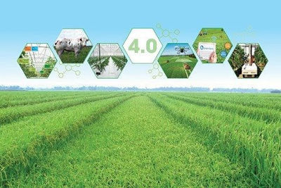 Hoàn thiện chính sách về vốn cho chuyển đổi nông nghiệp số, phát triển ngành nông nghiệp bền vững