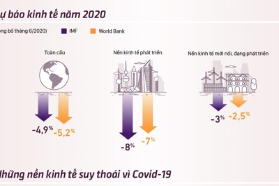 [Infographics] Những nền kinh tế suy thoái vì Covid-19