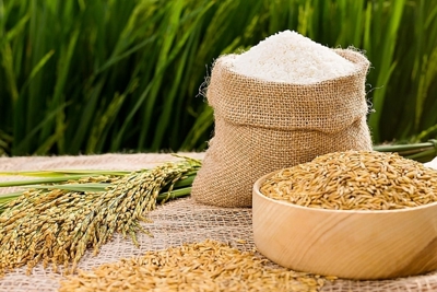 Giá gạo biến động nhẹ