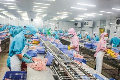  Những sản phẩm nào có "cửa sáng" xuất khẩu vào châu Phi?