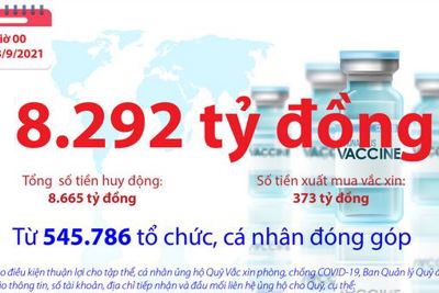 [Infographics] Quỹ Vắc xin phòng, chống COVID-19 còn dư 8.292 tỷ đồng