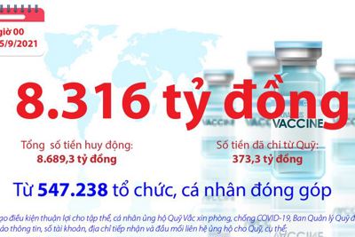 [Infographics] Quỹ Vắc xin phòng, chống COVID-19 còn dư 8.316 tỷ đồng