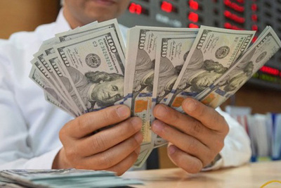 Số liệu thị trường tiền tệ tháng 8/2019
