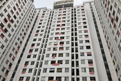 Kiên quyết cưỡng chế chủ đầu tư không bàn giao quỹ bảo trì nhà chung cư