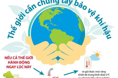 [Infographics] Quốc tế cam kết những nỗ lực lớn hơn về bảo vệ khí hậu