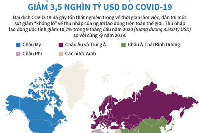 [Infographics] Thu nhập của người lao động toàn cầu giảm 3.500 tỷ USD do Covid-19
