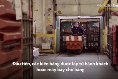 [Video] Cách hải quan sân bay Mỹ kiểm tra một triệu kiện hàng mỗi ngày