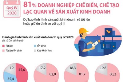 [Infographics] 81% doanh nghiệp chế biến chế tạo lạc quan về kết quả kinh doanh quý IV/2020