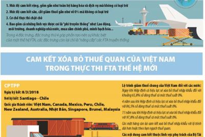 [Infographics] Những đặc trưng cơ bản của FTA thế hệ mới