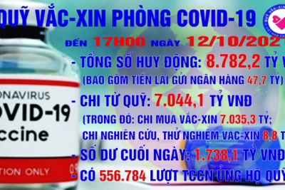 [Infographics] Quỹ Vắc xin phòng, chống COVID-19 còn dư 1.738,1 tỷ đồng