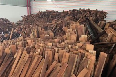 60 container gỗ Giáng hương "bỏ quên" vẫn chưa tìm được chủ hàng