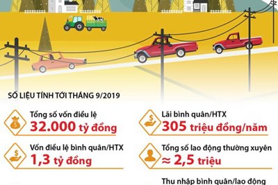[Infographics] Khu vực hợp tác xã tạo ra 2,5 triệu việc làm