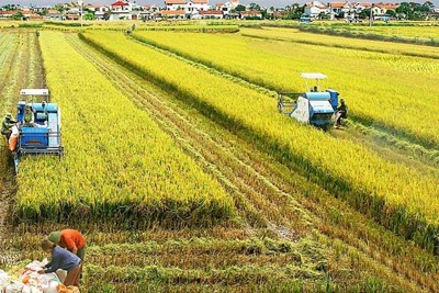 Máy móc, thiết bị chuyên dùng phục vụ cho sản xuất nông nghiệp có phải nộp thuế GTGT?