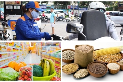 Số liệu chỉ số giá tiêu dùng, chỉ số giá vàng và đô la Mỹ tháng 10 và 10 tháng đầu năm 2020