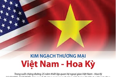 [Infographics] Kim ngạch thương mại Việt Nam-Hoa Kỳ: Điểm sáng trong quan hệ hai nước