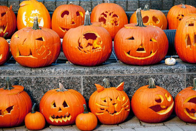 [Video] Anh có thể vứt bỏ 8 triệu quả bí ngô sau Halloween