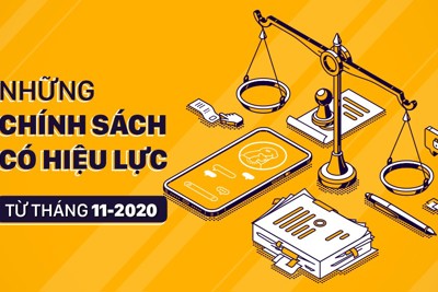 [Infographics] Những chính sách có hiệu lực từ tháng 11/2020
