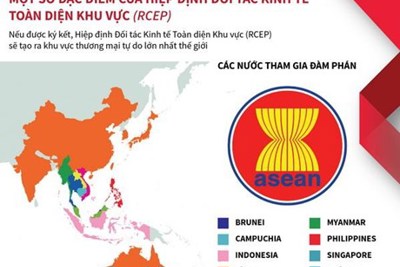 [Infographics] Đặc điểm Hiệp định đối tác kinh tế toàn diện khu vực