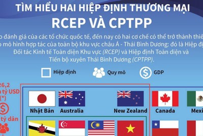 [Infographics] Tìm hiểu hai hiệp định thương mại RCEP và CPTPP