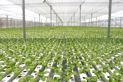 03 nguồn kinh phí thực hiện hoạt động khuyến nông 