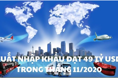 [Infographics] Xuất nhập khẩu đạt 49 tỷ USD trong tháng 11/2020