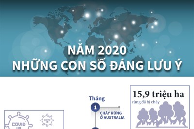 [Infographics] Những con số đáng lưu ý của năm 2020