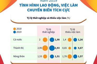 [Infographics] Năm 2019: Tình hình lao động, việc làm chuyển biến tích cực