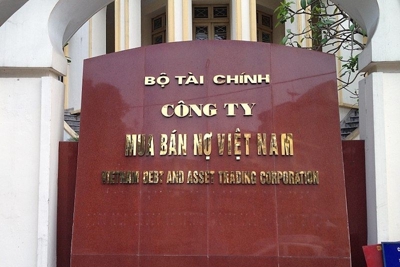 Lấy ý kiến Dự thảo Thông tư ban hành Điều lệ tổ chức và hoạt động của DATC