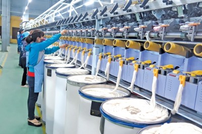 Chủ động nắm vững thị trường, tận dụng cơ hội và lợi thế