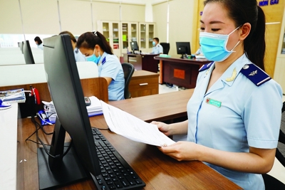 Tiếp tục triển khai phần mềm khai hải quan miễn phí 