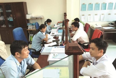 Hải quan Cà Mau triển khai đồng bộ nhiều giải pháp chuyển đổi số