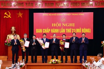 Chủ tịch HĐQT Vietcombank giữ chức Ủy viên Ban Thường vụ Đảng ủy Khối Doanh nghiệp Trung ương