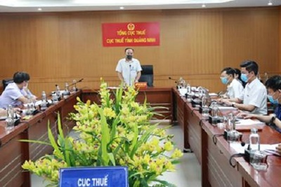 7 tháng, Cục Thuế Quảng Ninh thu ngân sách đạt 21.558 tỷ đồng