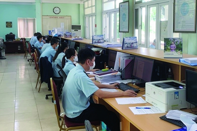 Hải quan Hải Phòng đẩy nhanh tiến độ cải cách hành chính 