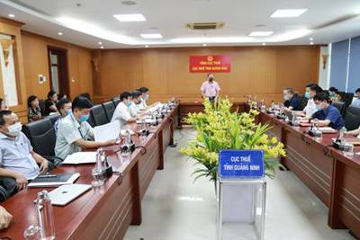 8 tháng, Cục Thuế Quảng Ninh thu ngân sách đạt 23.964 tỷ đồng