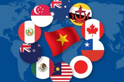 Ưu đãi thuế xuất khẩu cho hàng hóa của Việt Nam sang một số thị trường