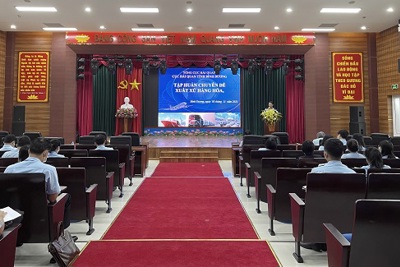 Hải quan Bình Dương: Tập huấn công tác tiếp nhận, kiểm tra, xác định xuất xứ hàng hóa 