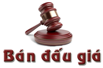 DATC bán cổ phần và nợ tại Công ty Xuất nhập khẩu Bình Định