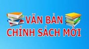 Ban hành quy chế trao đổi thông tin tờ khai hải quan điện tử
