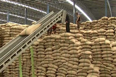 Xử lý, ngăn chặn vi phạm trong việc cung cấp gạo dự trữ quốc gia khi trúng thầu  