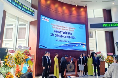 Ảnh hưởng của quản trị công ty đến chất lượng lợi nhuận của các công ty niêm yết trên HOSE  