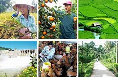 Đầu tư tín dụng phát triển nông nghiệp theo hướng hiện đại