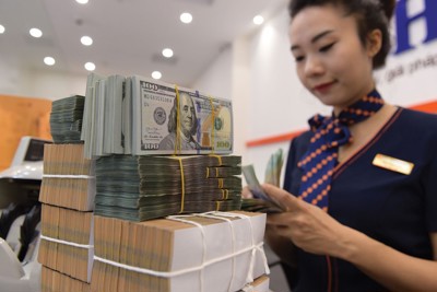 Thanh khoản ngân hàng đang rất dồi dào dù sát Tết