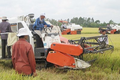 Gạo Việt củng cố thương hiệu