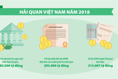 [Infographic] Hải quan Việt Nam năm 2018